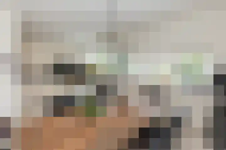 Zeelt 134 Alblasserdam thumbnail 13