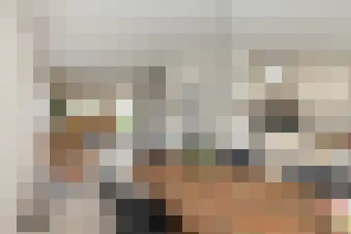 Zeelt 134 Alblasserdam thumbnail 14