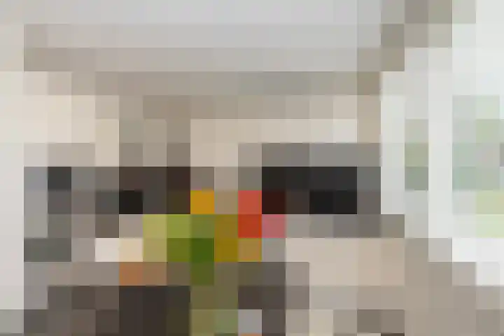 Zeelt 134 Alblasserdam thumbnail 17