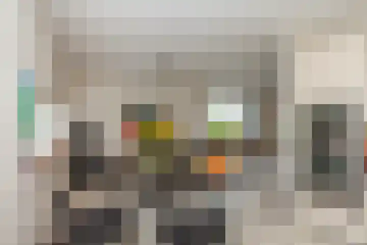 Zeelt 134 Alblasserdam thumbnail 18