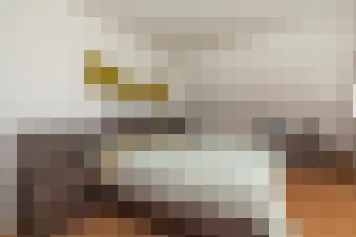 Zeelt 134 Alblasserdam thumbnail 22
