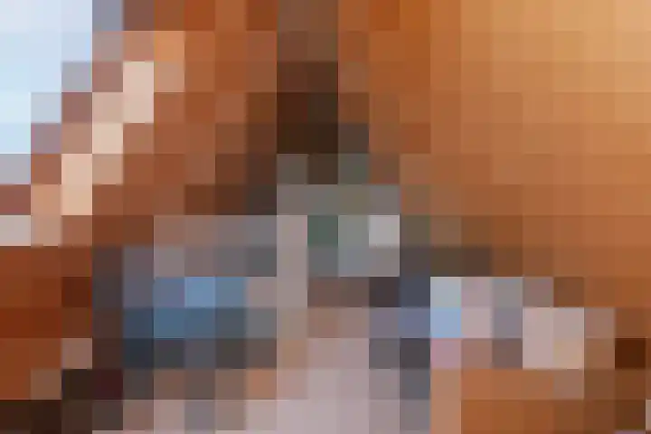 Zeelt 134 Alblasserdam thumbnail 31