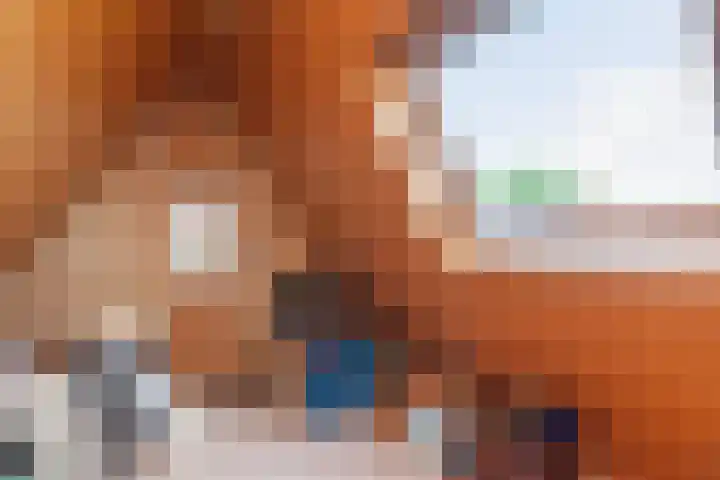 Zeelt 134 Alblasserdam thumbnail 32