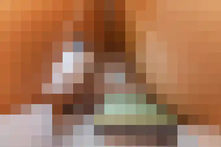 Zeelt 134 Alblasserdam thumbnail 33