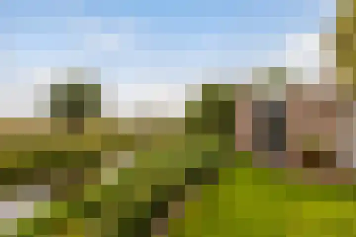 Zeelt 134 Alblasserdam thumbnail 34
