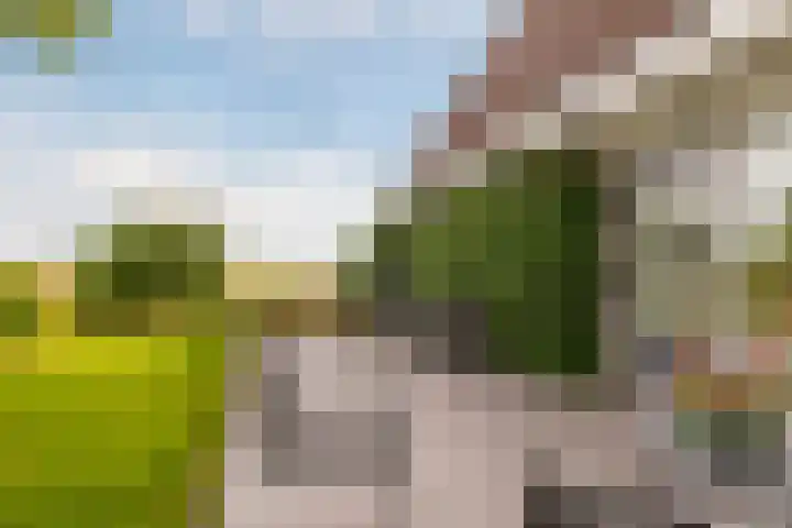Zeelt 134 Alblasserdam thumbnail 35