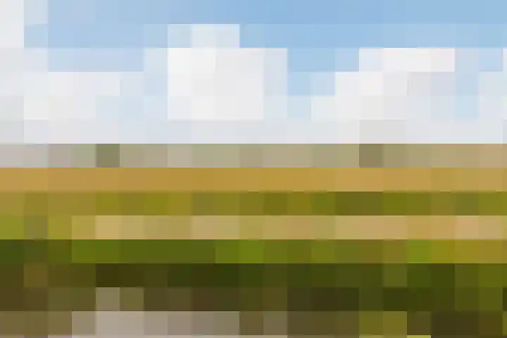 Zeelt 134 Alblasserdam thumbnail 37