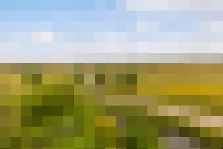 Zeelt 134 Alblasserdam thumbnail 38
