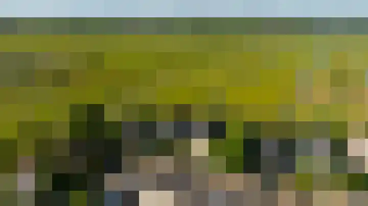 Zeelt 134 Alblasserdam thumbnail 39