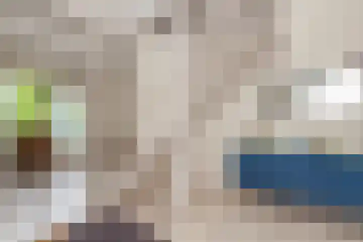 Zeelt 134 Alblasserdam thumbnail 4