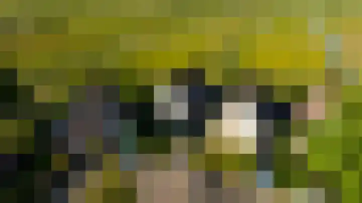 Zeelt 134 Alblasserdam thumbnail 40