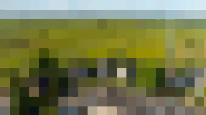 Zeelt 134 Alblasserdam thumbnail 41