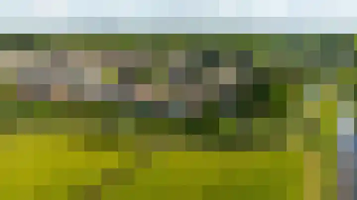 Zeelt 134 Alblasserdam thumbnail 42