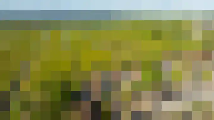 Zeelt 134 Alblasserdam thumbnail 45