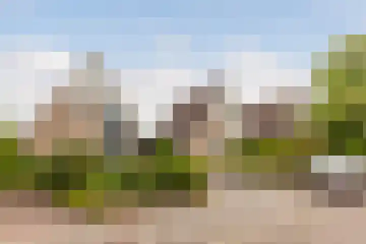 Zeelt 134 Alblasserdam thumbnail 47