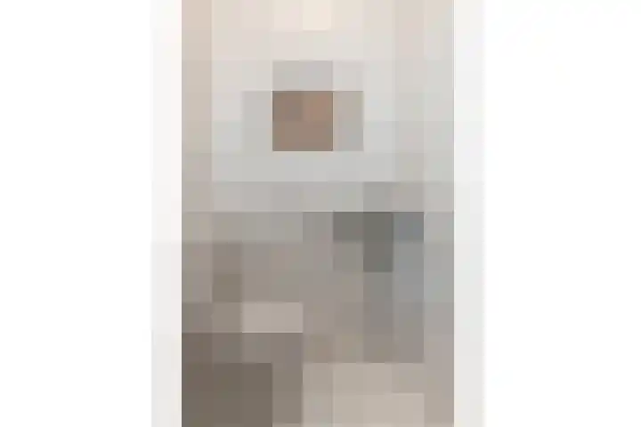 Zeelt 134 Alblasserdam thumbnail 5