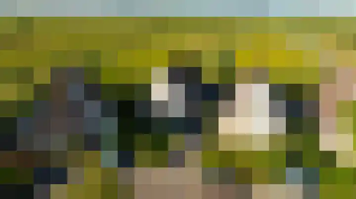 Zeelt 134 Alblasserdam thumbnail 51