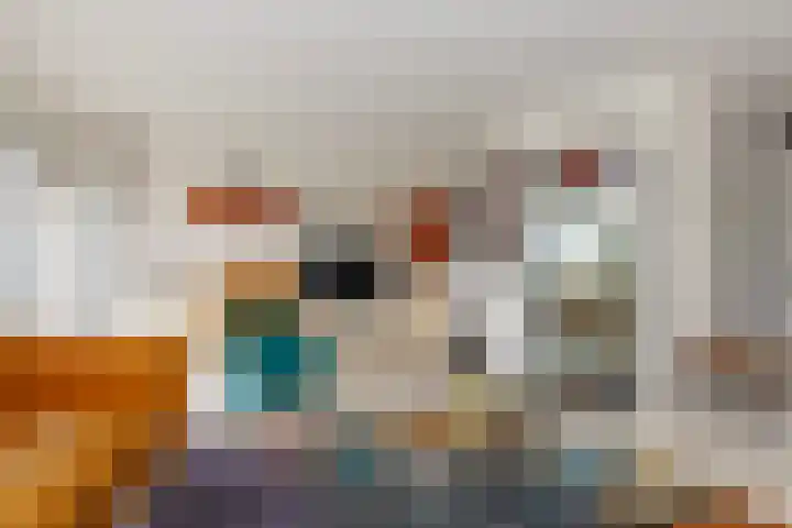 Zeelt 134 Alblasserdam thumbnail 7