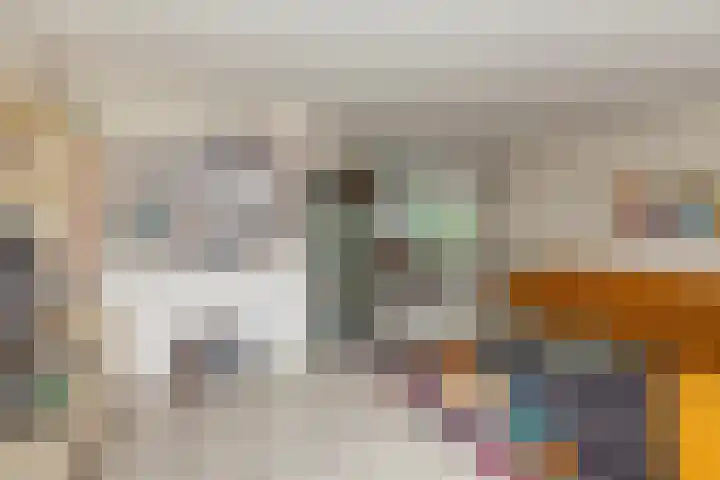 Zeelt 134 Alblasserdam thumbnail 8