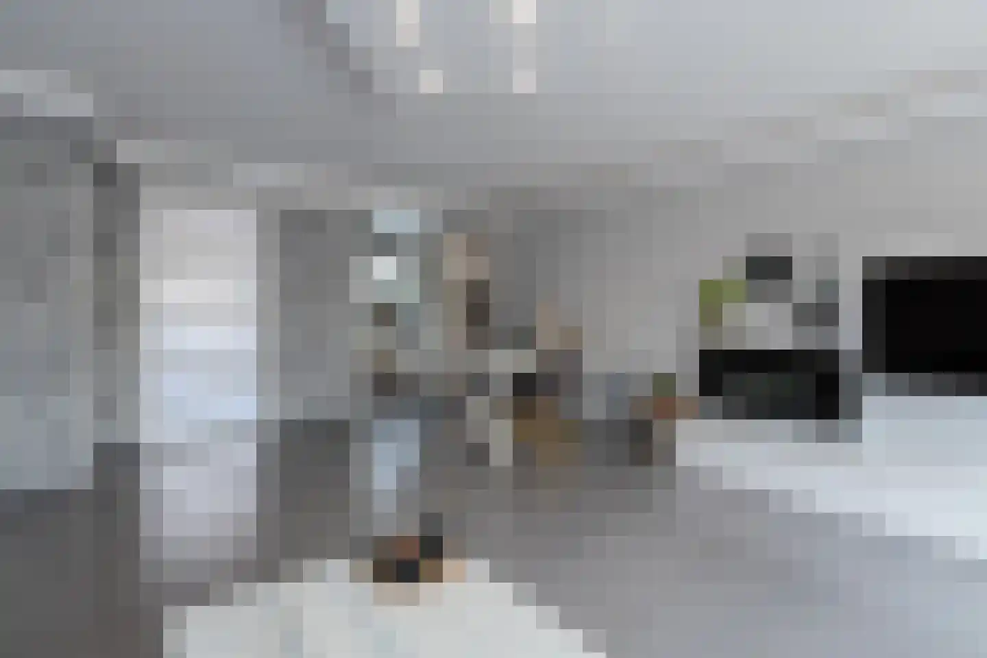Zeelt 137 Alblasserdam thumbnail 10