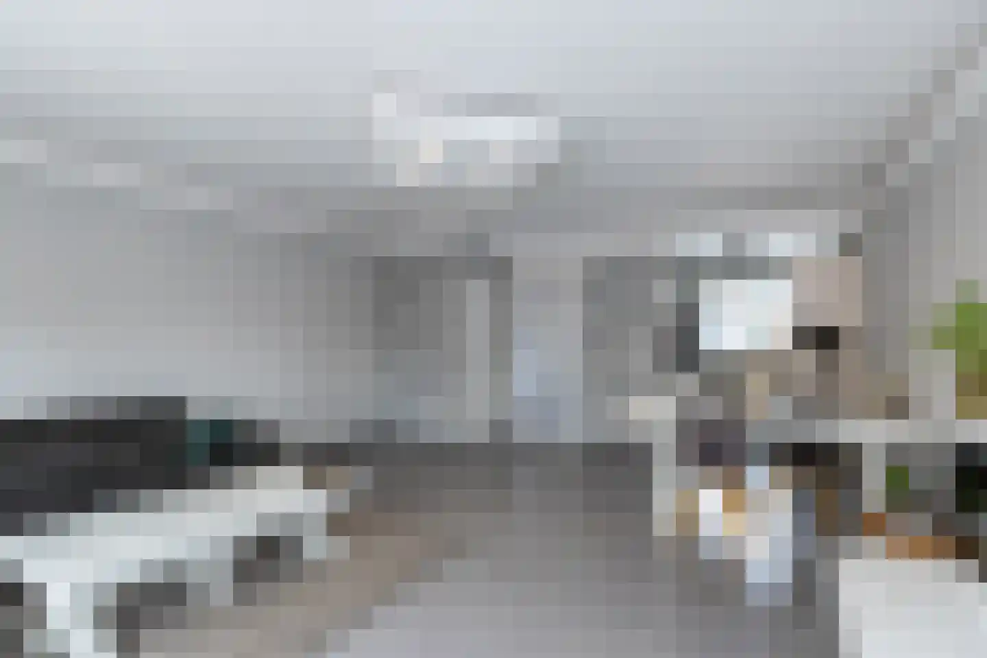 Zeelt 137 Alblasserdam thumbnail 11