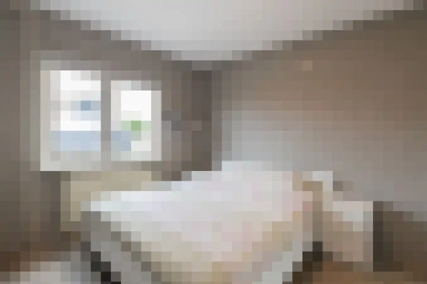 Zeelt 137 Alblasserdam thumbnail 12