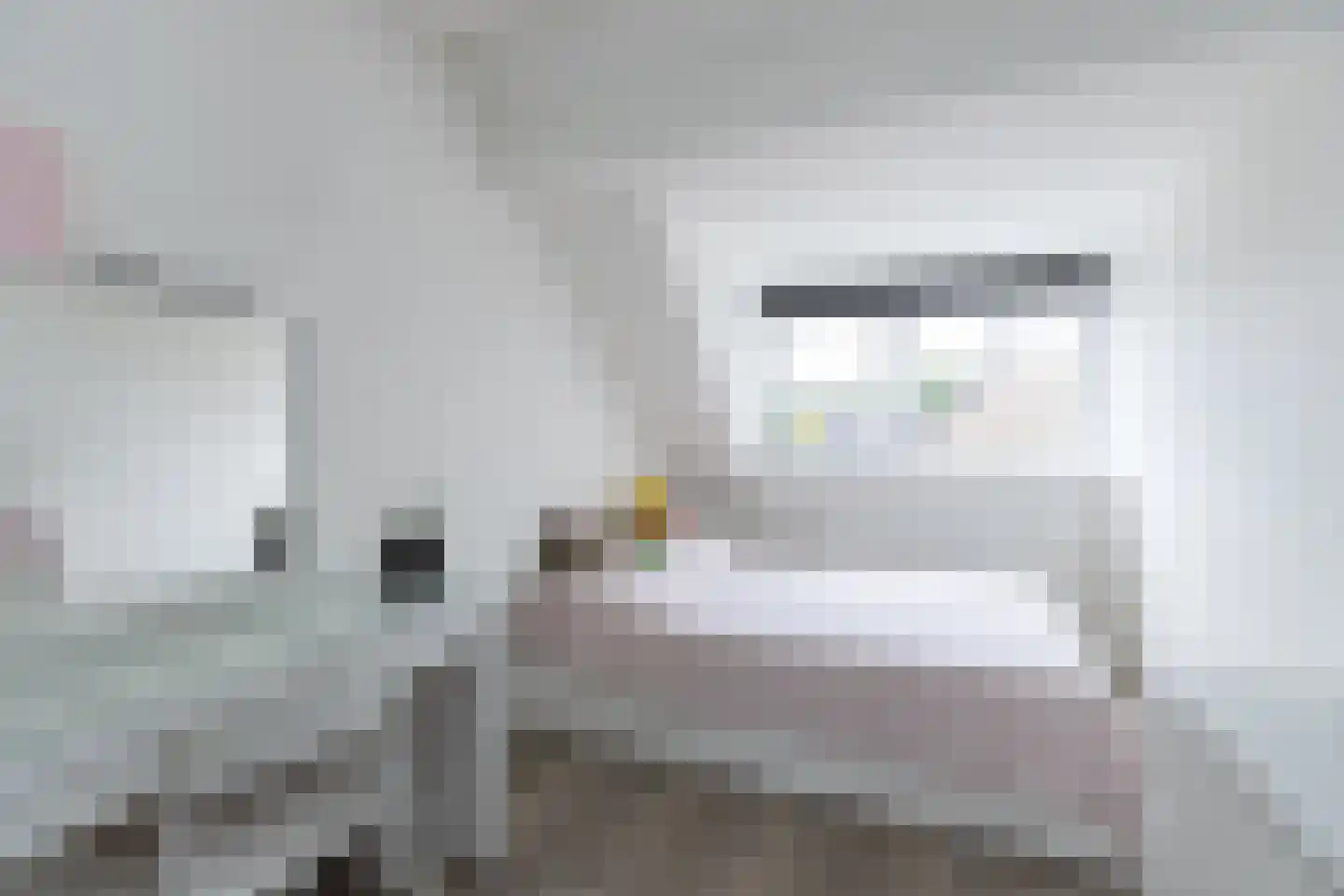 Zeelt 137 Alblasserdam thumbnail 14