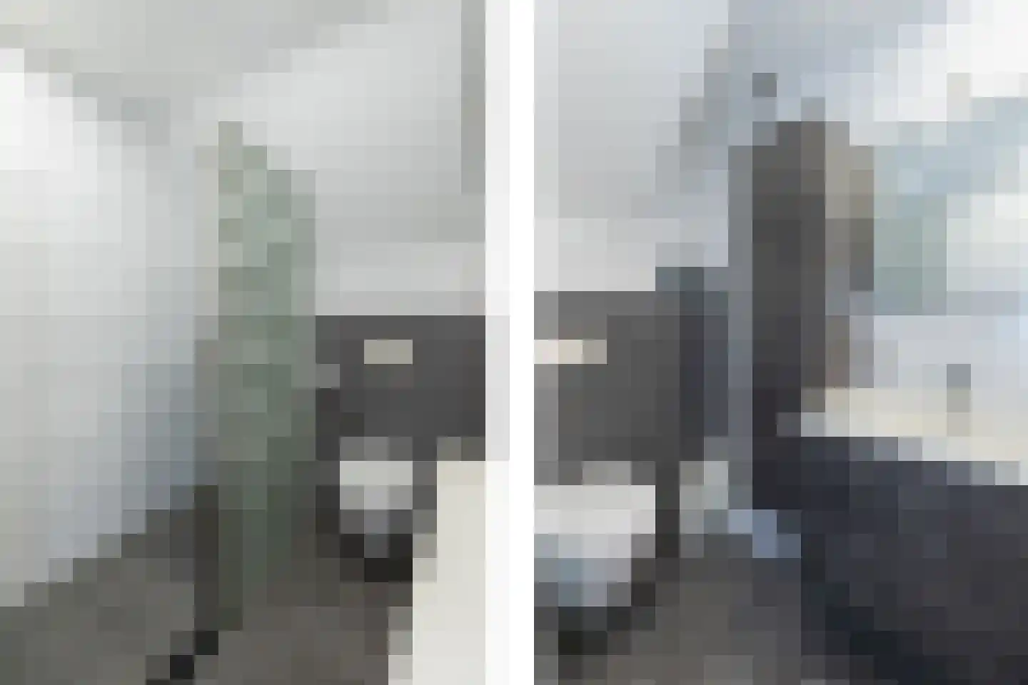 Zeelt 137 Alblasserdam thumbnail 16