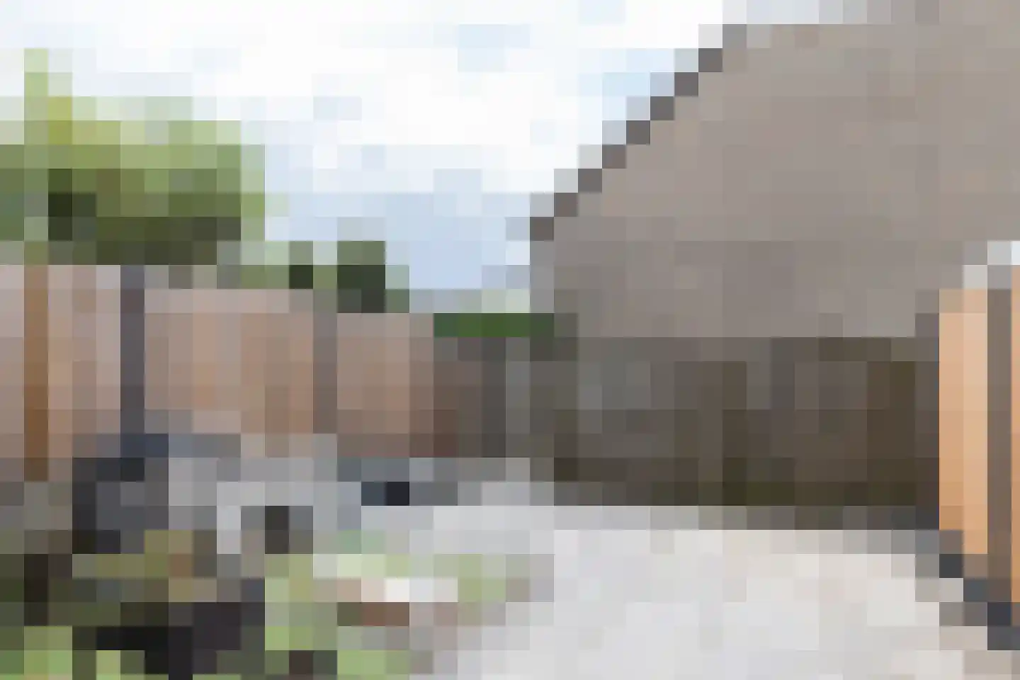 Zeelt 137 Alblasserdam thumbnail 19