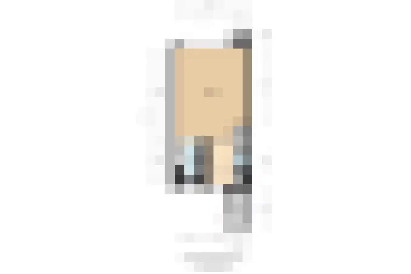 Zeelt 137 Alblasserdam thumbnail 22