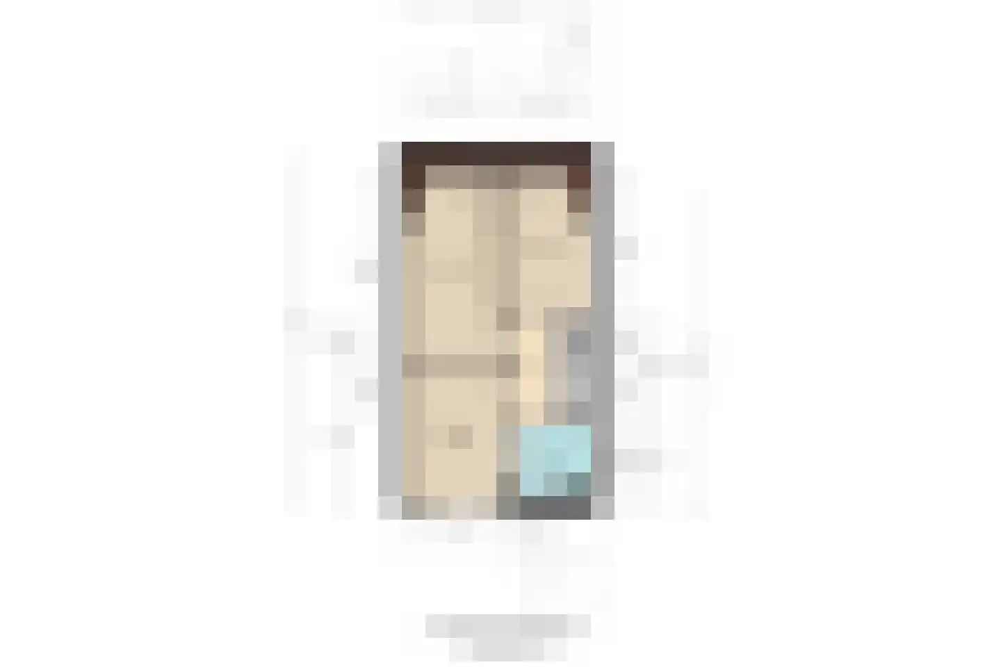 Zeelt 137 Alblasserdam thumbnail 23