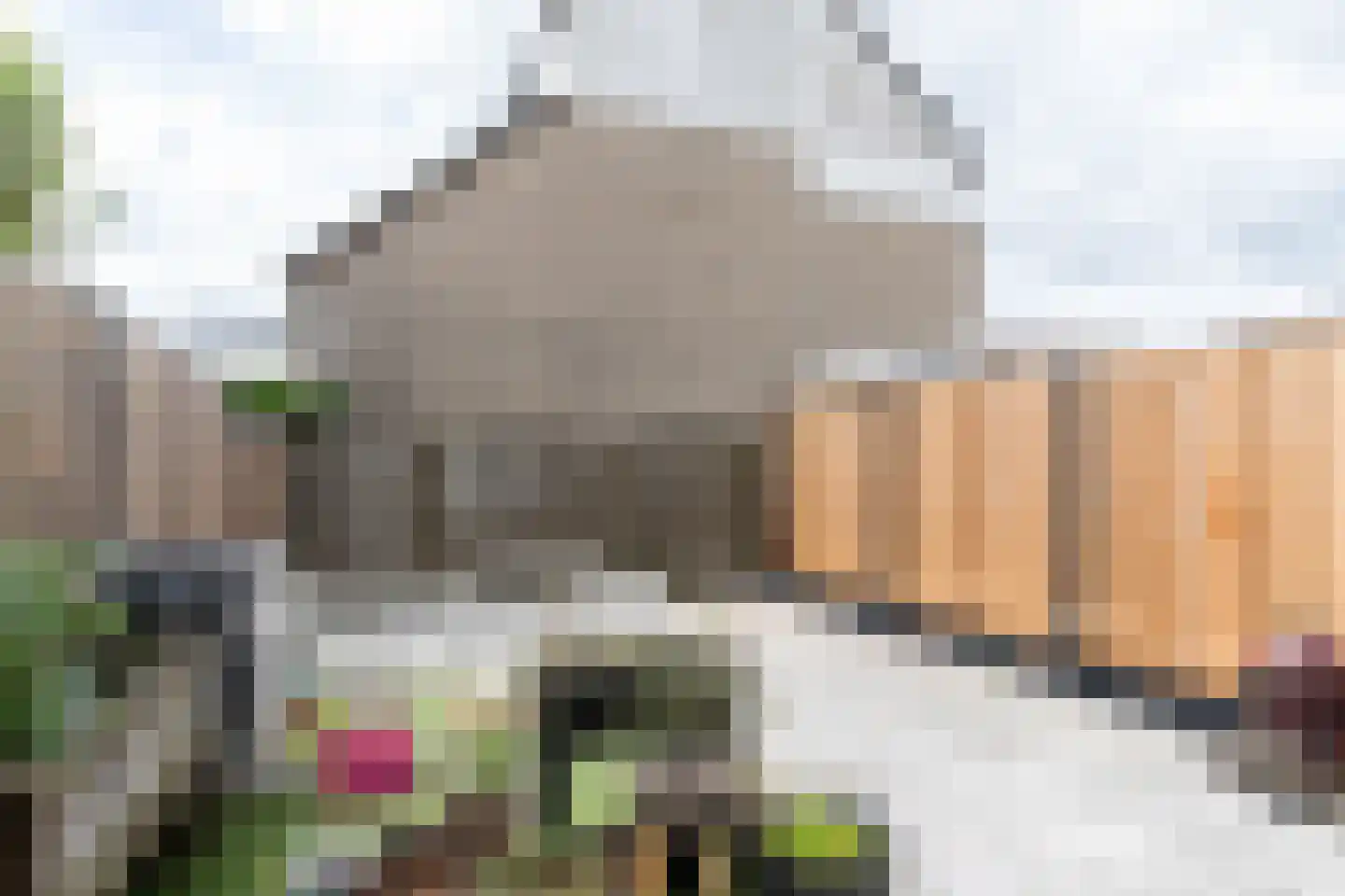 Zeelt 137 Alblasserdam thumbnail 4