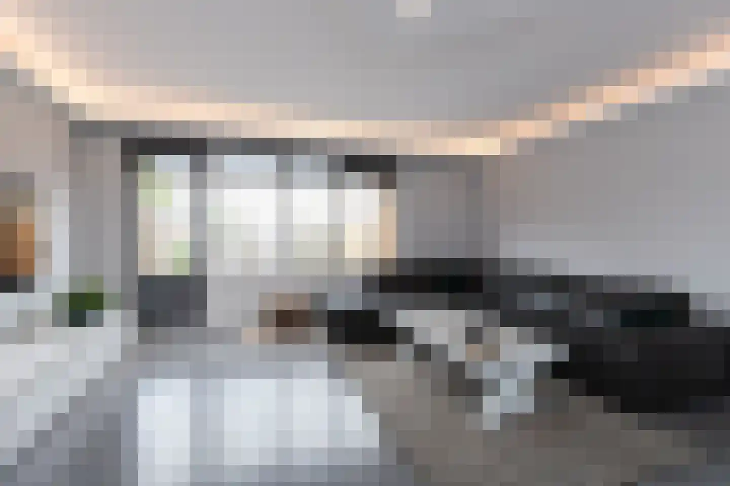 Zeelt 137 Alblasserdam thumbnail 7