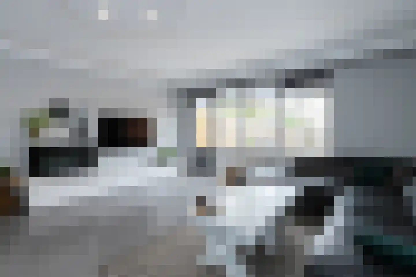 Zeelt 137 Alblasserdam thumbnail 8