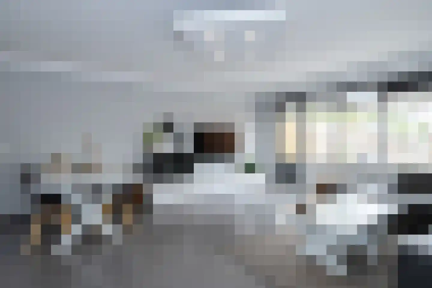 Zeelt 137 Alblasserdam thumbnail 9