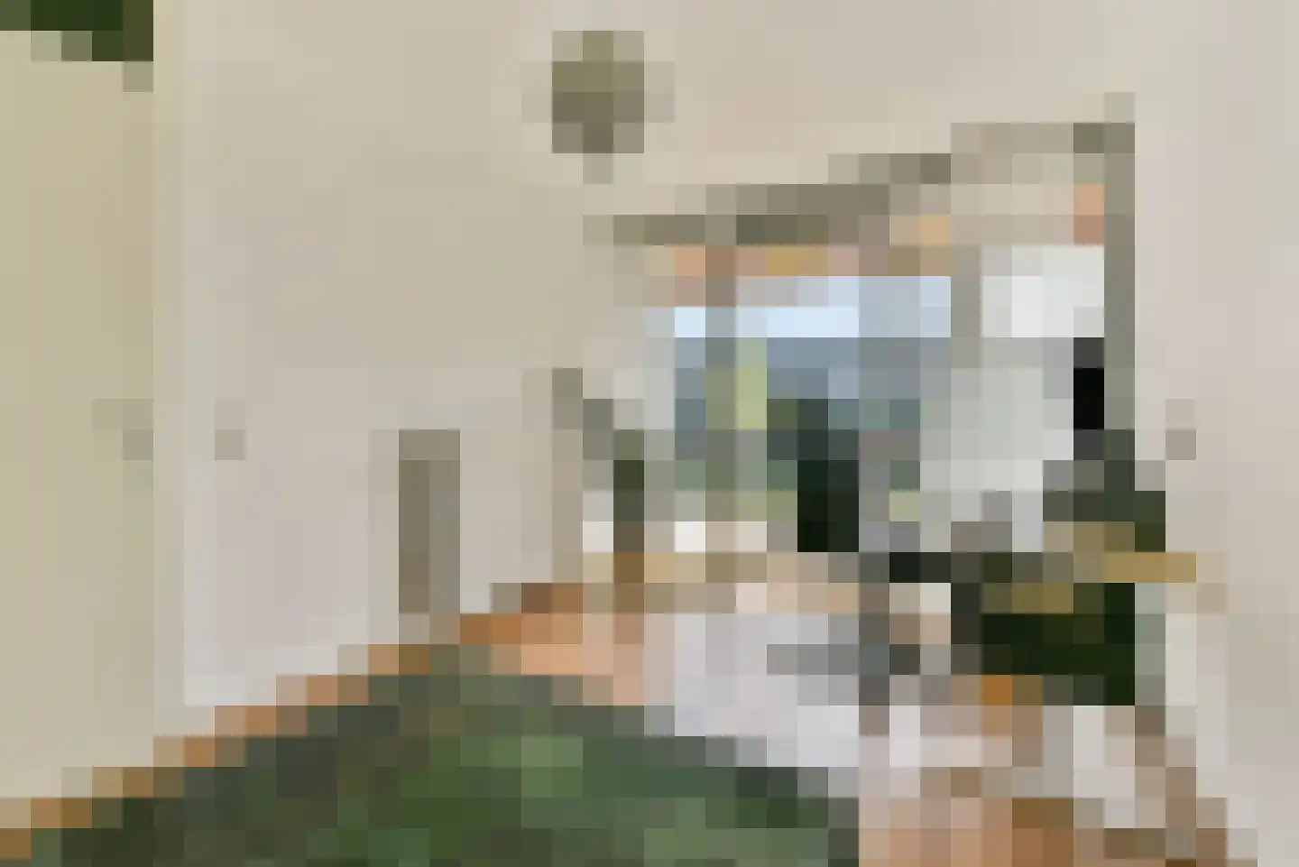 Zeelt 14 Amersfoort thumbnail 12