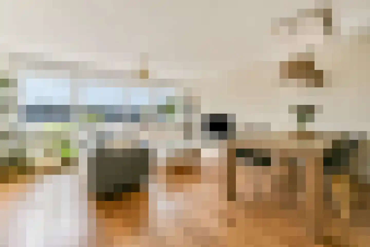 Zeelt 14 Amersfoort thumbnail 19