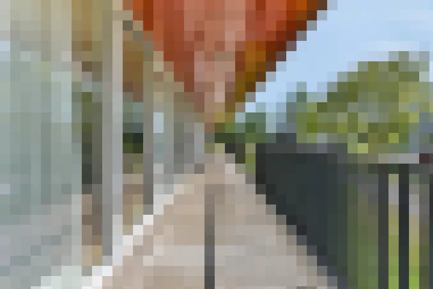 Zeelt 14 Amersfoort thumbnail 9