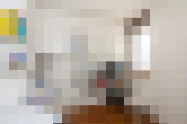 Zeelt 168 Alblasserdam thumbnail 16