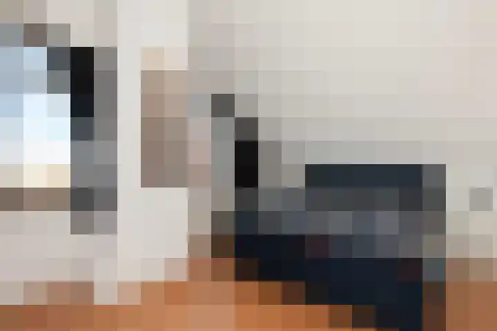 Zeelt 168 Alblasserdam thumbnail 19