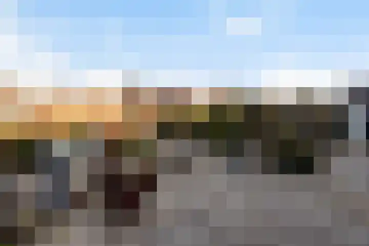Zeelt 168 Alblasserdam thumbnail 29
