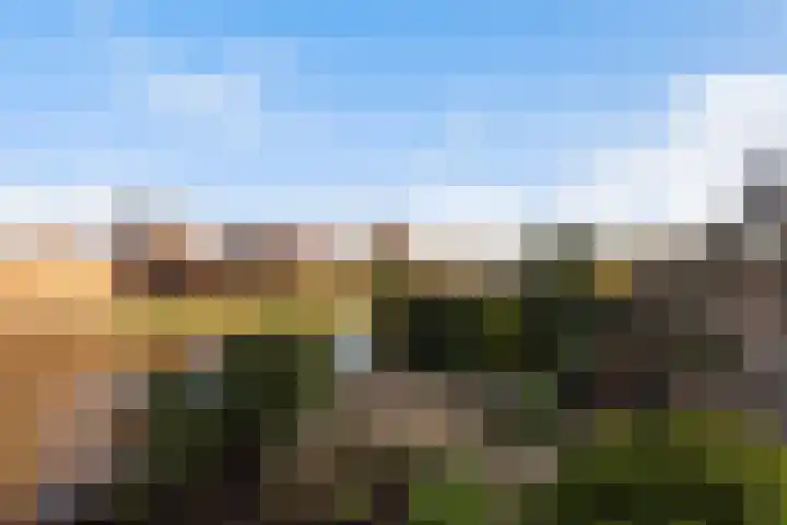 Zeelt 168 Alblasserdam thumbnail 31