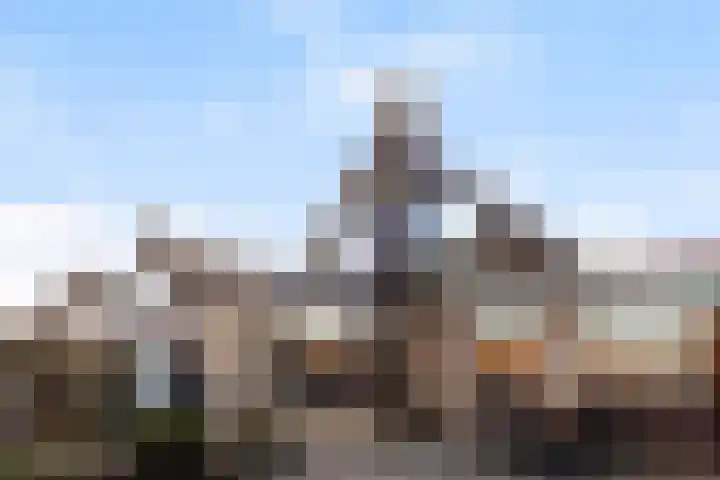 Zeelt 168 Alblasserdam thumbnail 32
