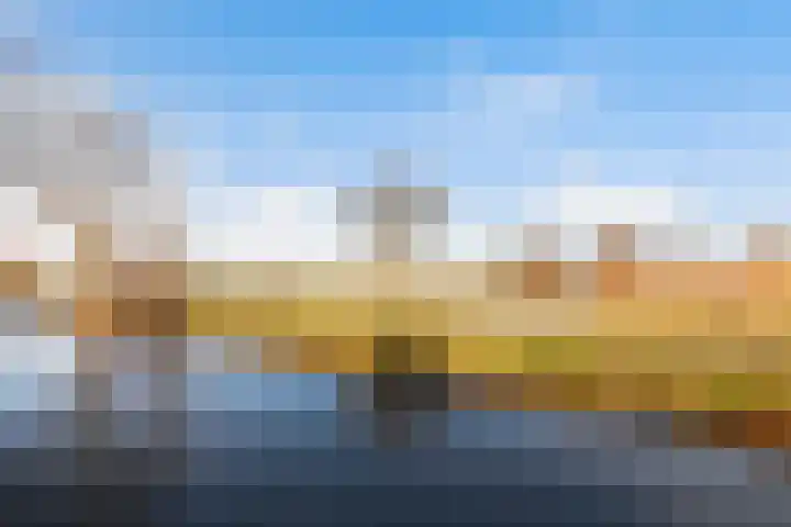 Zeelt 168 Alblasserdam thumbnail 33