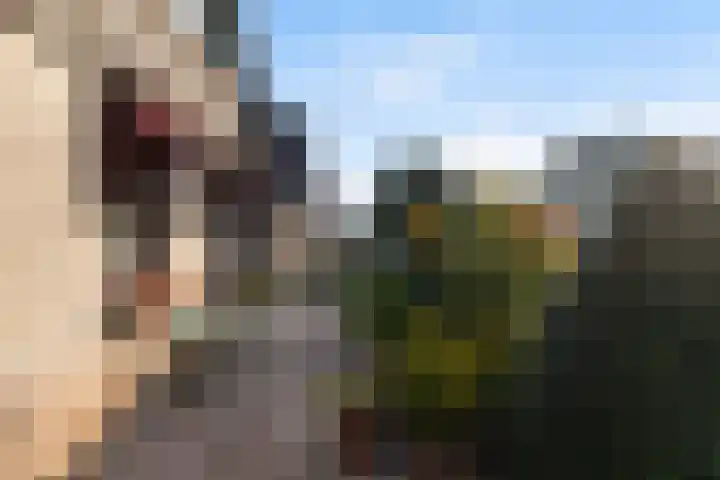 Zeelt 168 Alblasserdam thumbnail 34