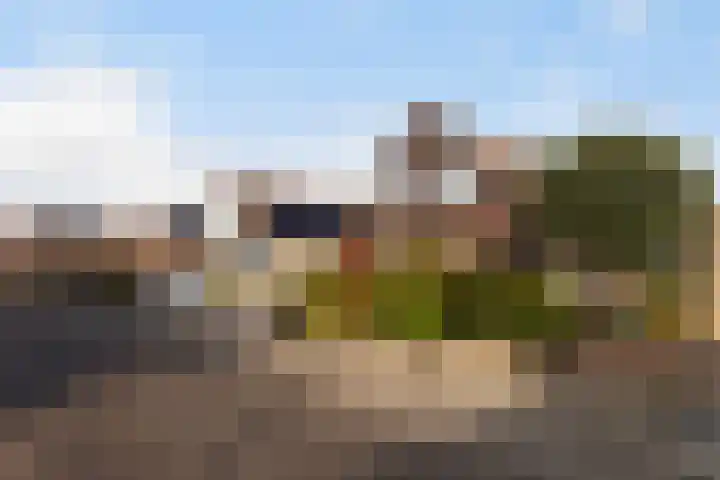 Zeelt 168 Alblasserdam thumbnail 36