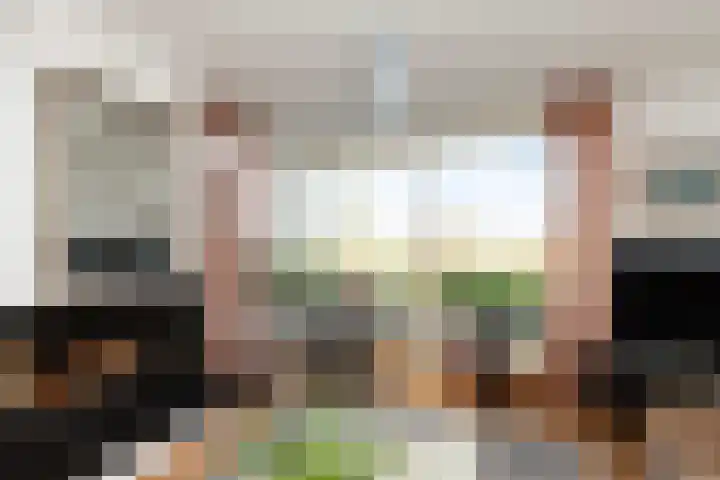 Zeelt 168 Alblasserdam thumbnail 7