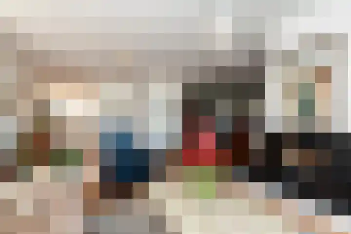 Zeelt 168 Alblasserdam thumbnail 8
