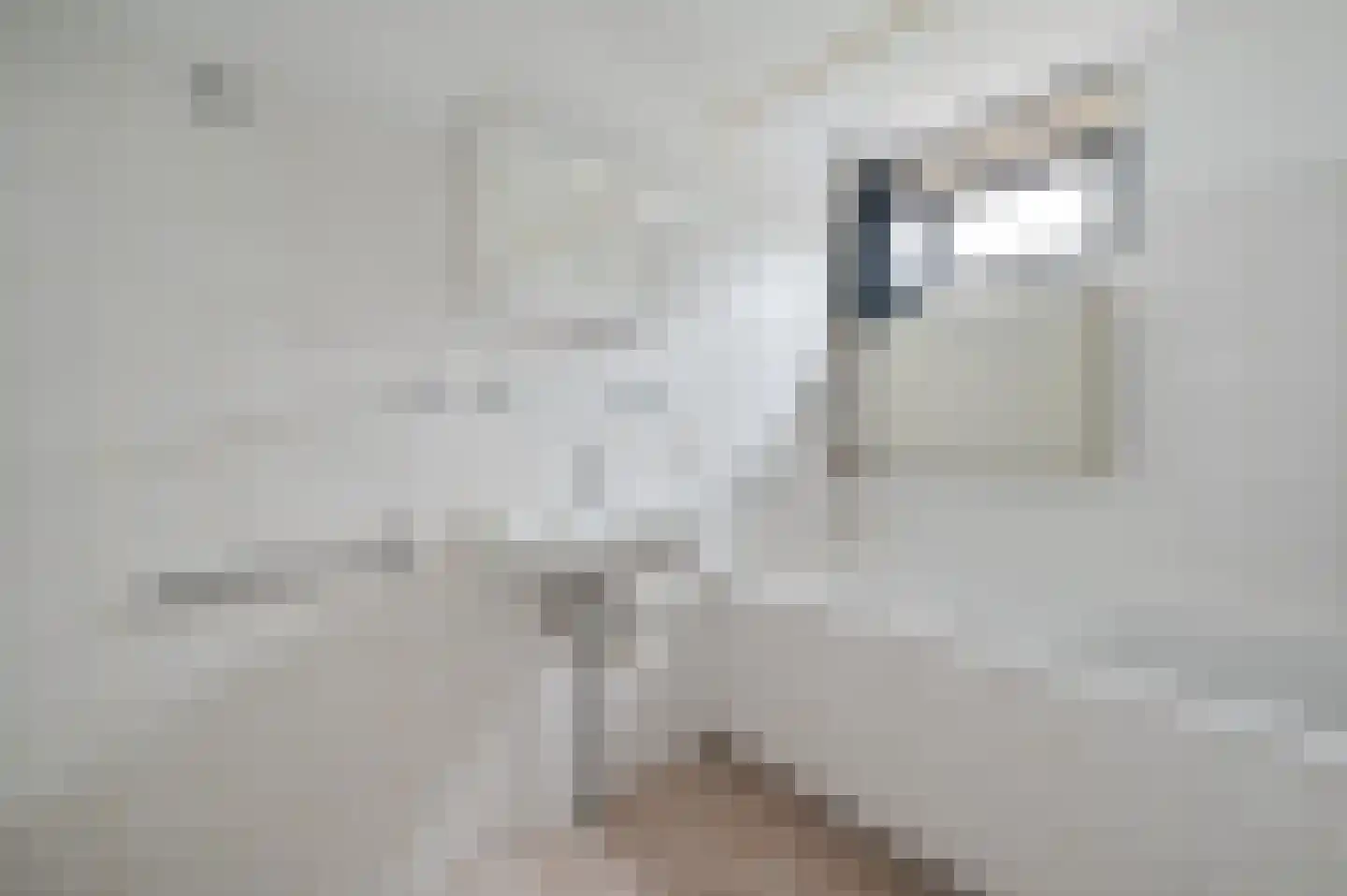 Zeelt 21 Wilnis thumbnail 16