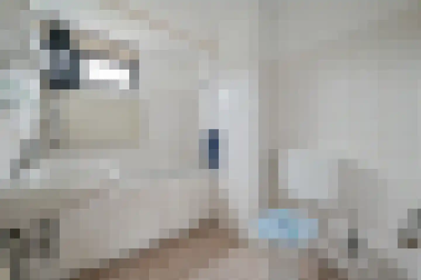 Zeelt 21 Wilnis thumbnail 17